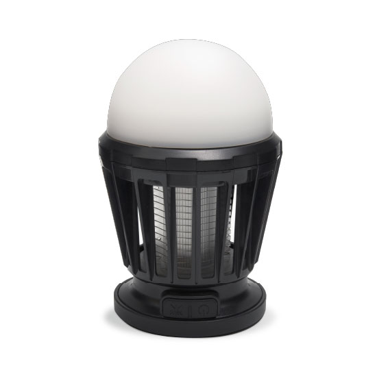 新品kiyata キヤタカワウソランプ倉敷アチブランチ